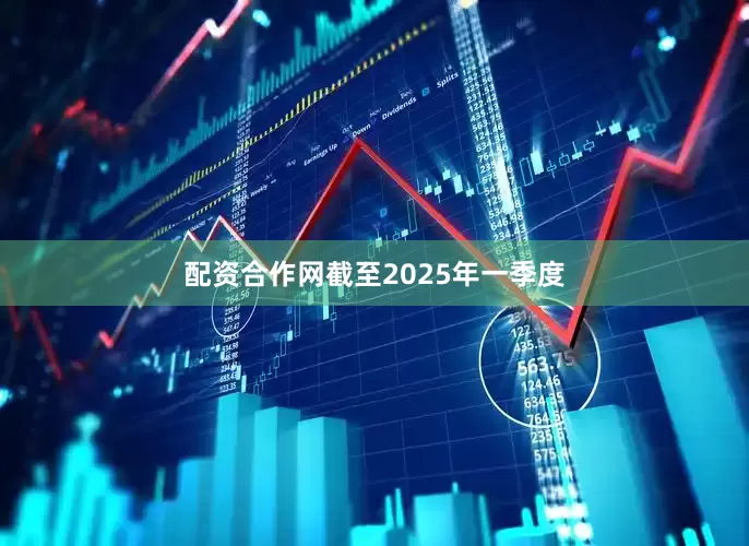配资合作网　　截至2025年一季度