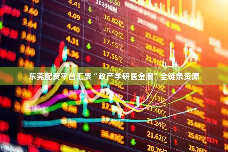 东莞配资平台汇聚“政产学研医金服”全链条资源