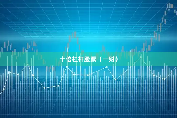 十倍杠杆股票（一财）