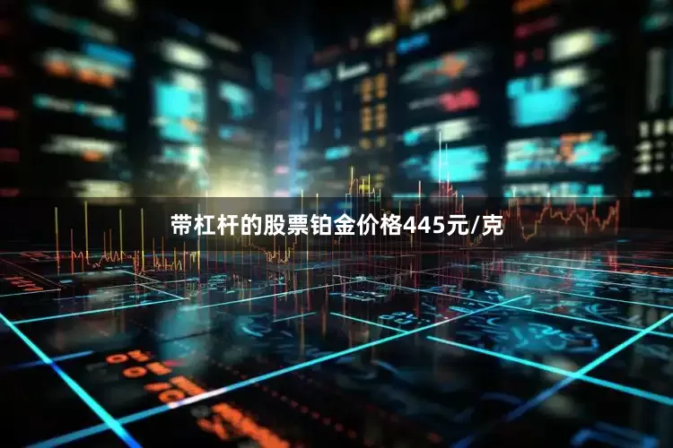 带杠杆的股票铂金价格445元/克