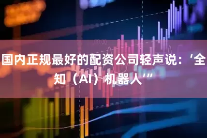 国内正规最好的配资公司轻声说：‘全知（AI）机器人’”